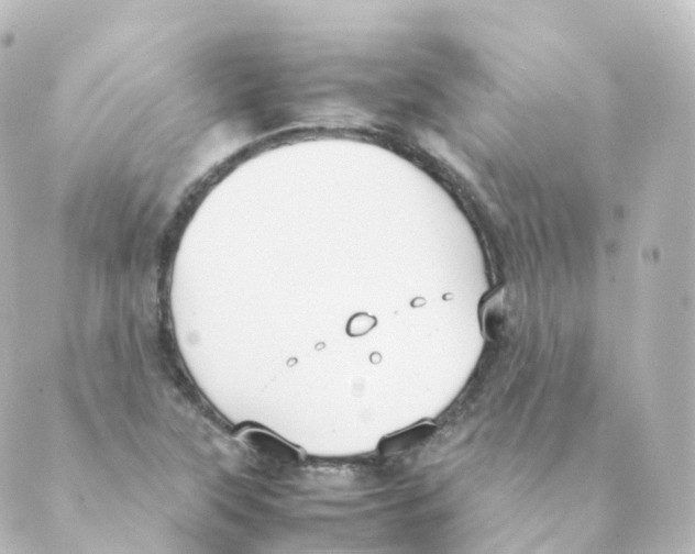 X0000088641315200706221536