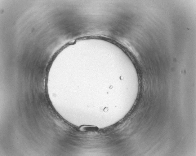 X0000088641316200706221536