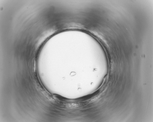 X0000088641317200706221536