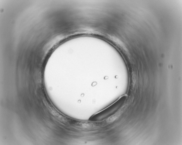 X0000088641318200706221536