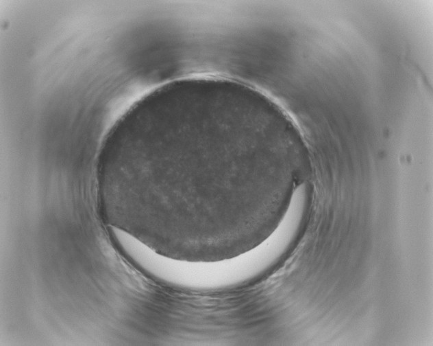 X0000088641319200706221536