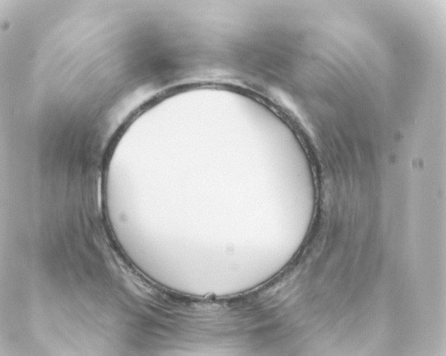 X0000088641320200706221536