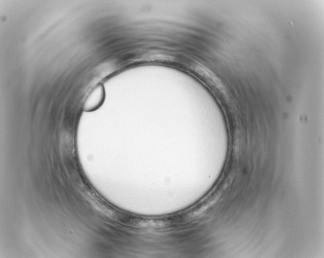 X0000088641321200706221536