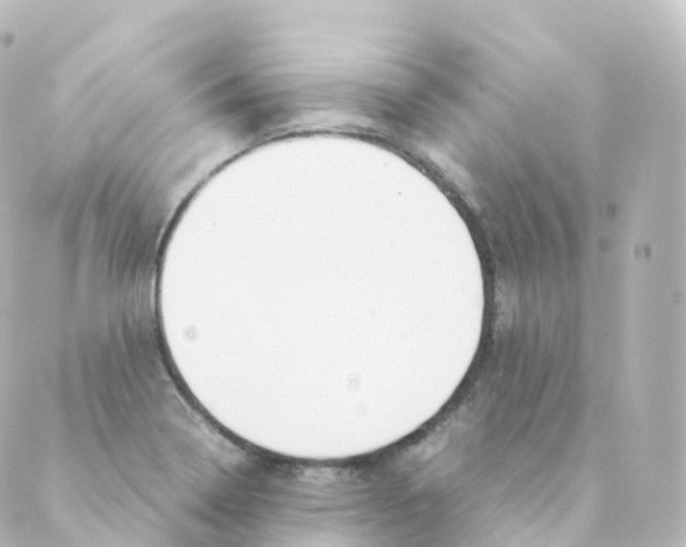 X0000088641322200706221536