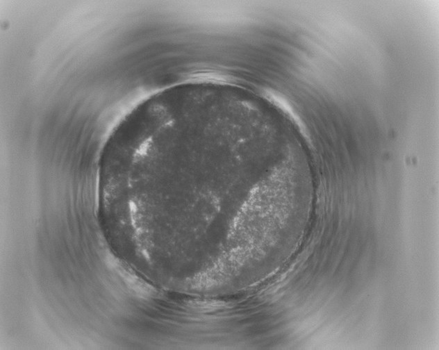 X0000088641323200706221536