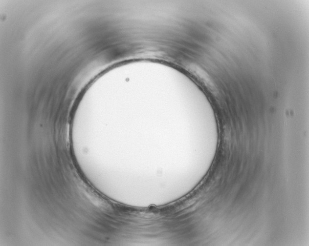 X0000088641324200706221536