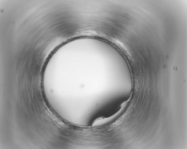 X0000088641326200706221536