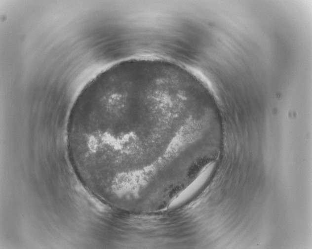 X0000088641327200706221536