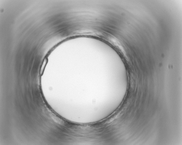 X0000088641328200706221536