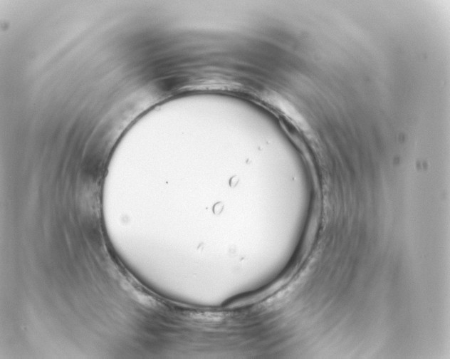 X0000088641329200706221536