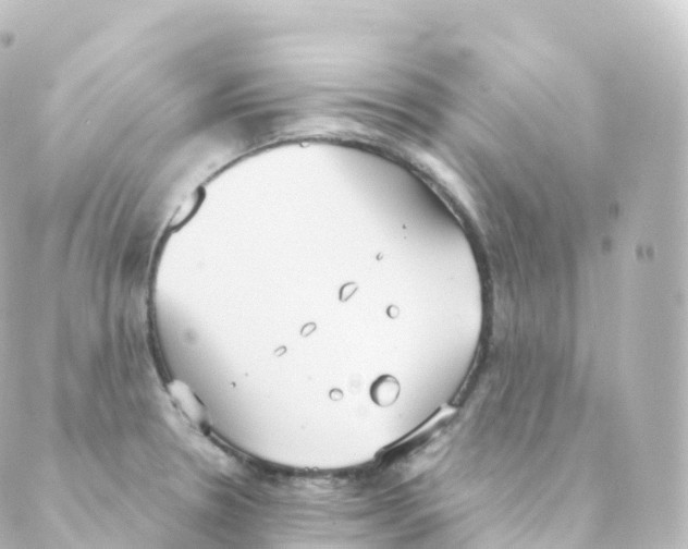 X0000088641330200706221536