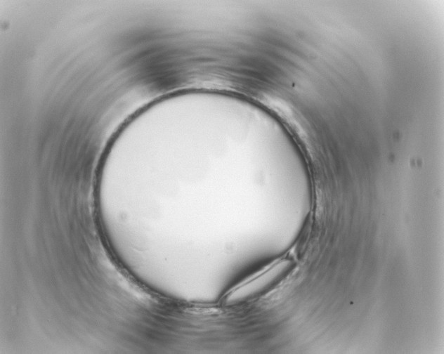 X0000088641331200706221536