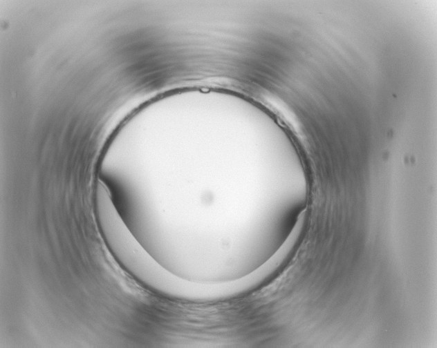 X0000088641332200706221536