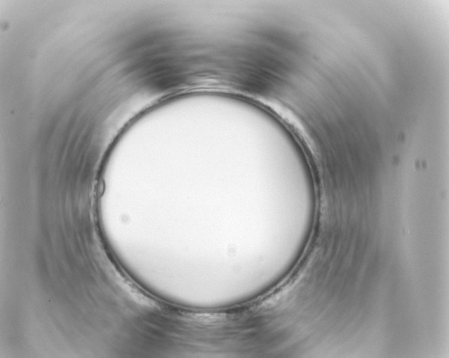 X0000088641333200706221536