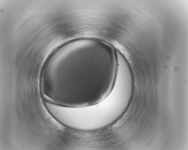 X0000088641334200706221536