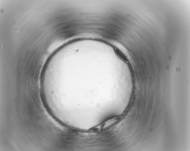 X0000088641335200706221536