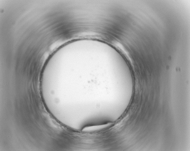 X0000088641336200706221536