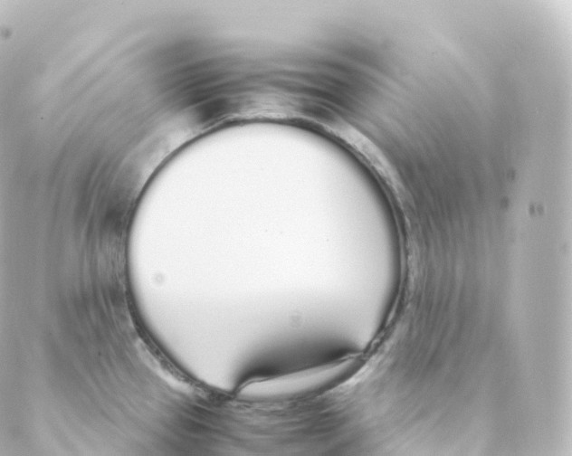 X0000088641337200706221536