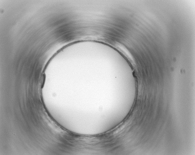 X0000088641340200706221536