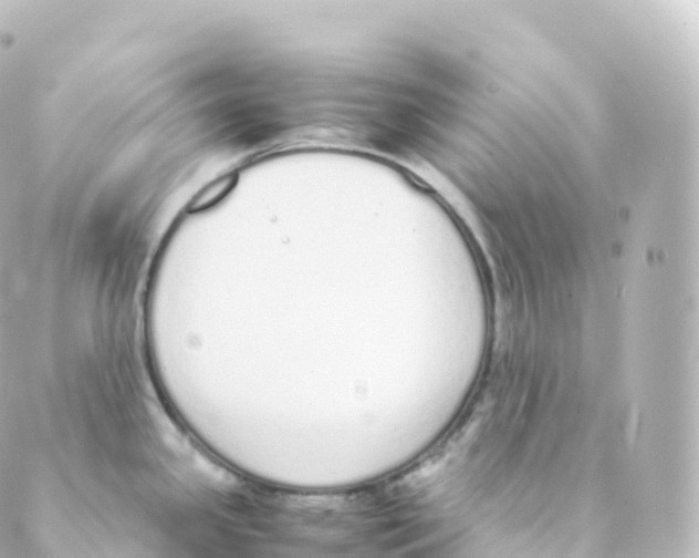 X0000088641341200706221536