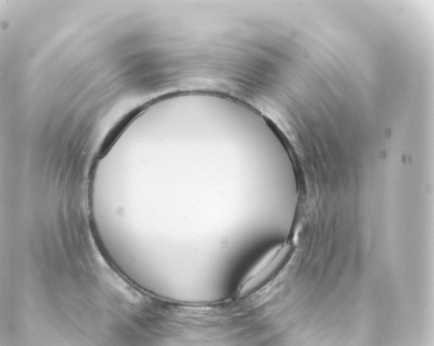 X0000088641342200706221536