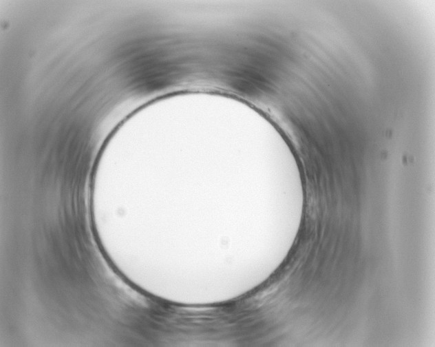 X0000088641343200706221536