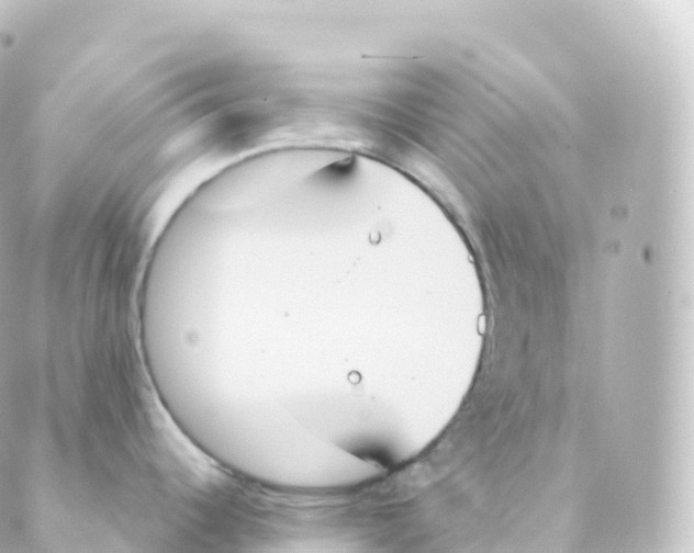 X0000088641344200706221536