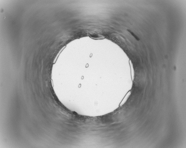 X0000088641345200706221535