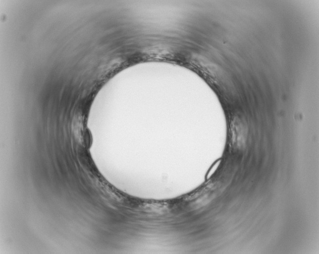 X0000088641346200706221535