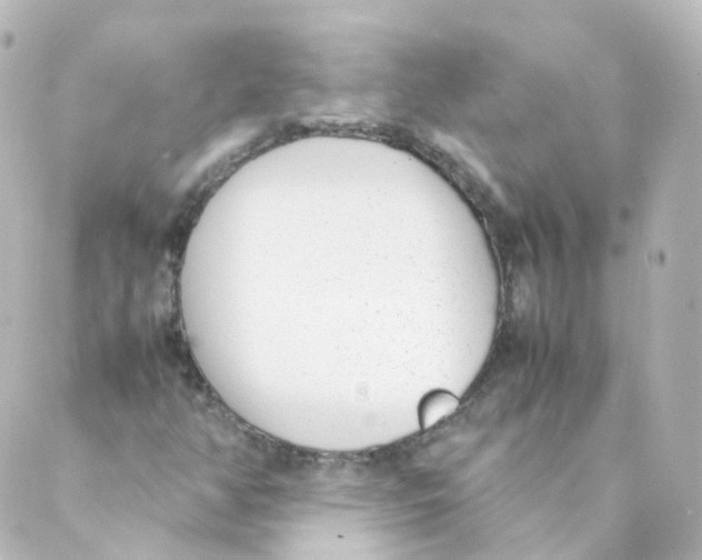 X0000088641350200706221535