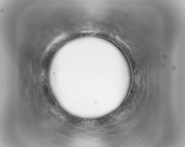 X0000088641351200706221535