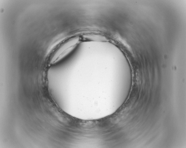 X0000088641352200706221535