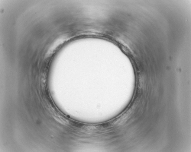 X0000088641355200706221535