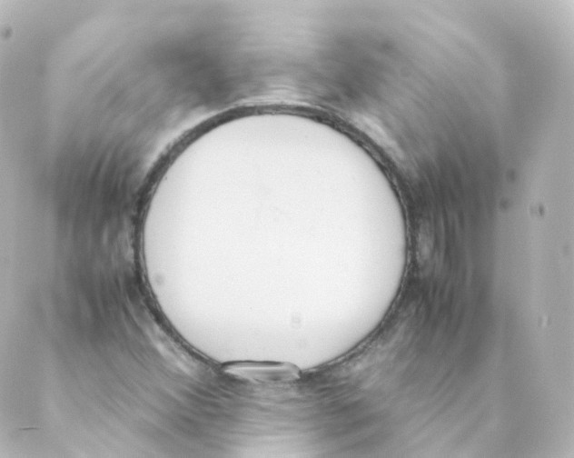 X0000088641356200706221535