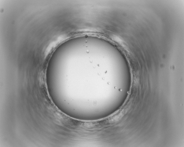 X0000088641357200706221535