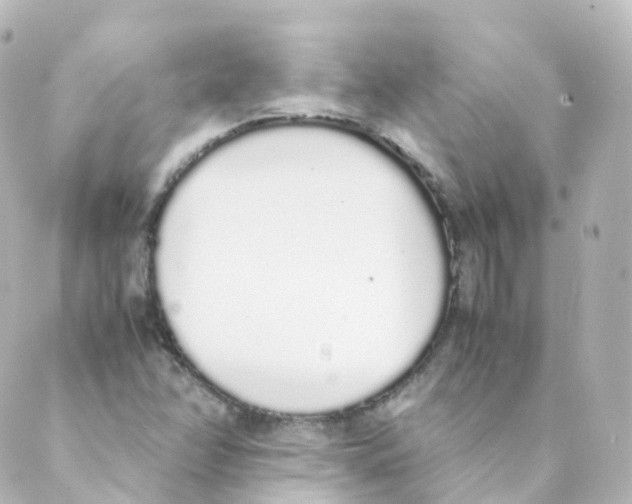 X0000088641358200706221535