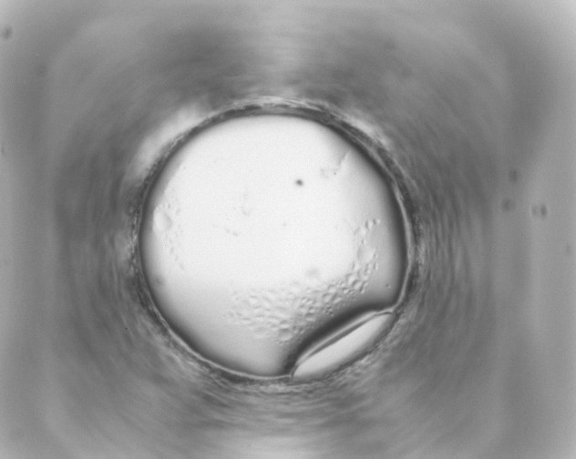 X0000088641359200706221535