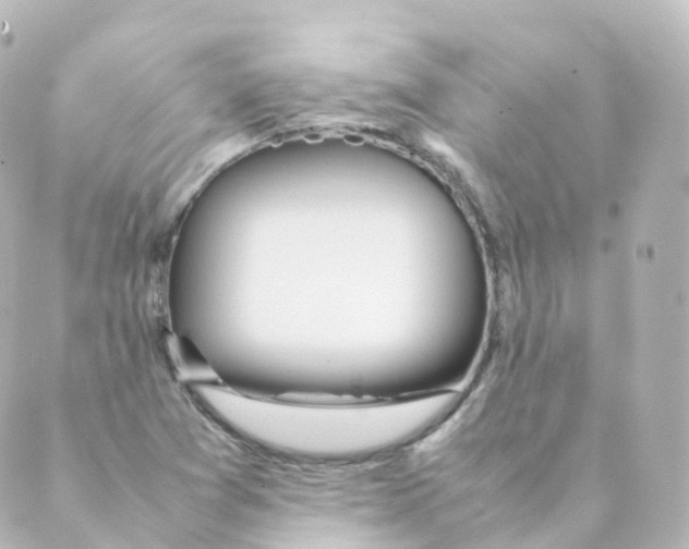 X0000088641361200706221535