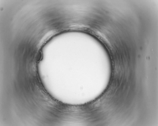 X0000088641362200706221535