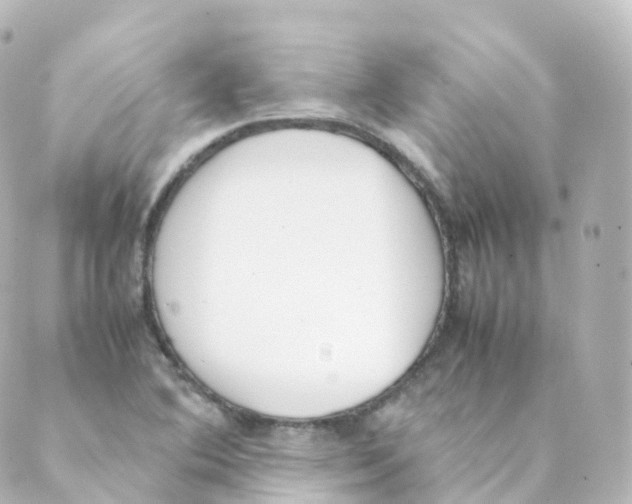 X0000088641364200706221535