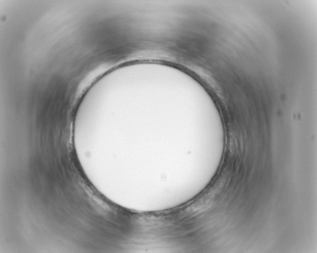 X0000088641366200706221535