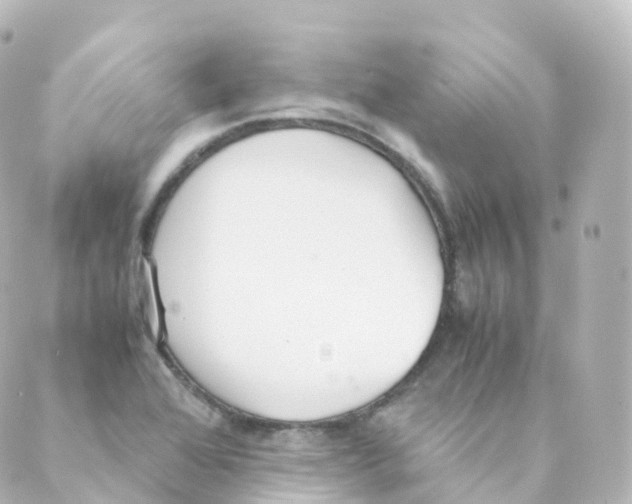 X0000088641368200706221535