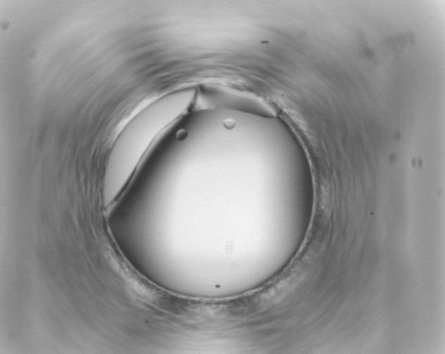 X0000088641369200706221535