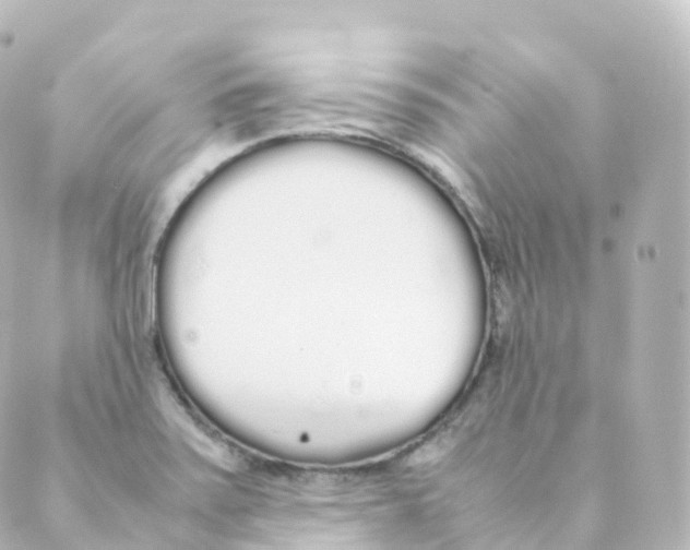 X0000088641371200706221535