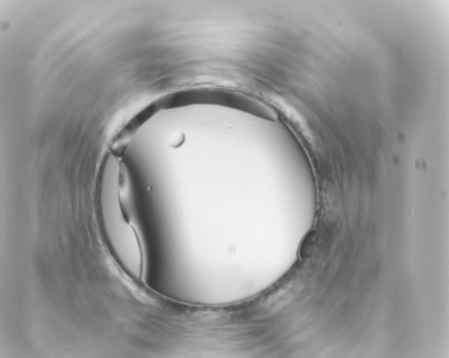 X0000088641373200706221535