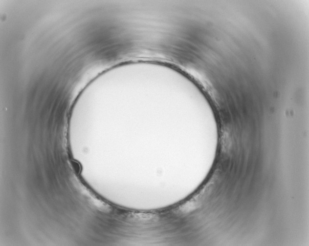 X0000088641374200706221535