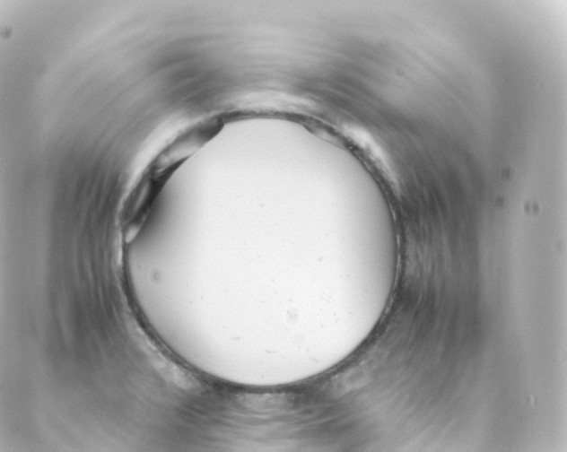 X0000088641376200706221535