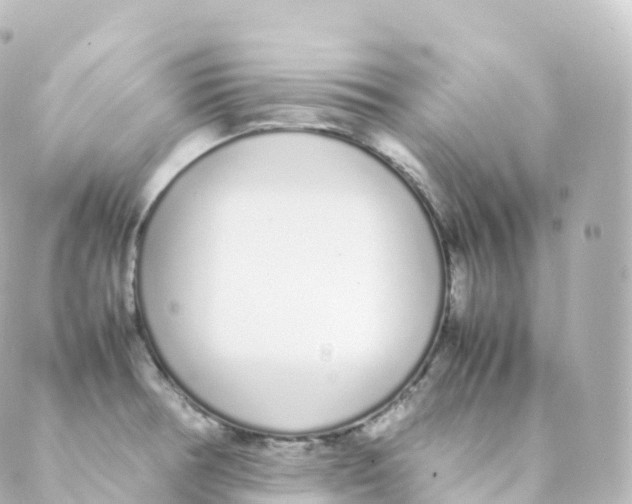 X0000088641378200706221535