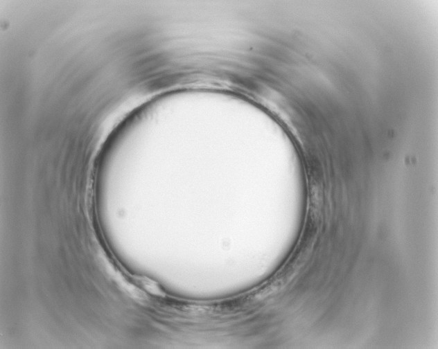 X0000088641379200706221535