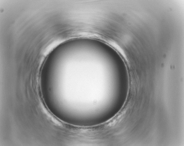 X0000088641381200706221535